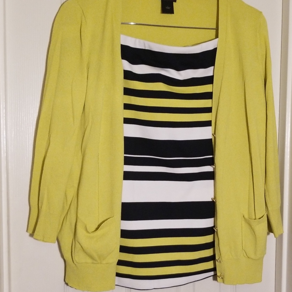 Ann Taylor striped skirt